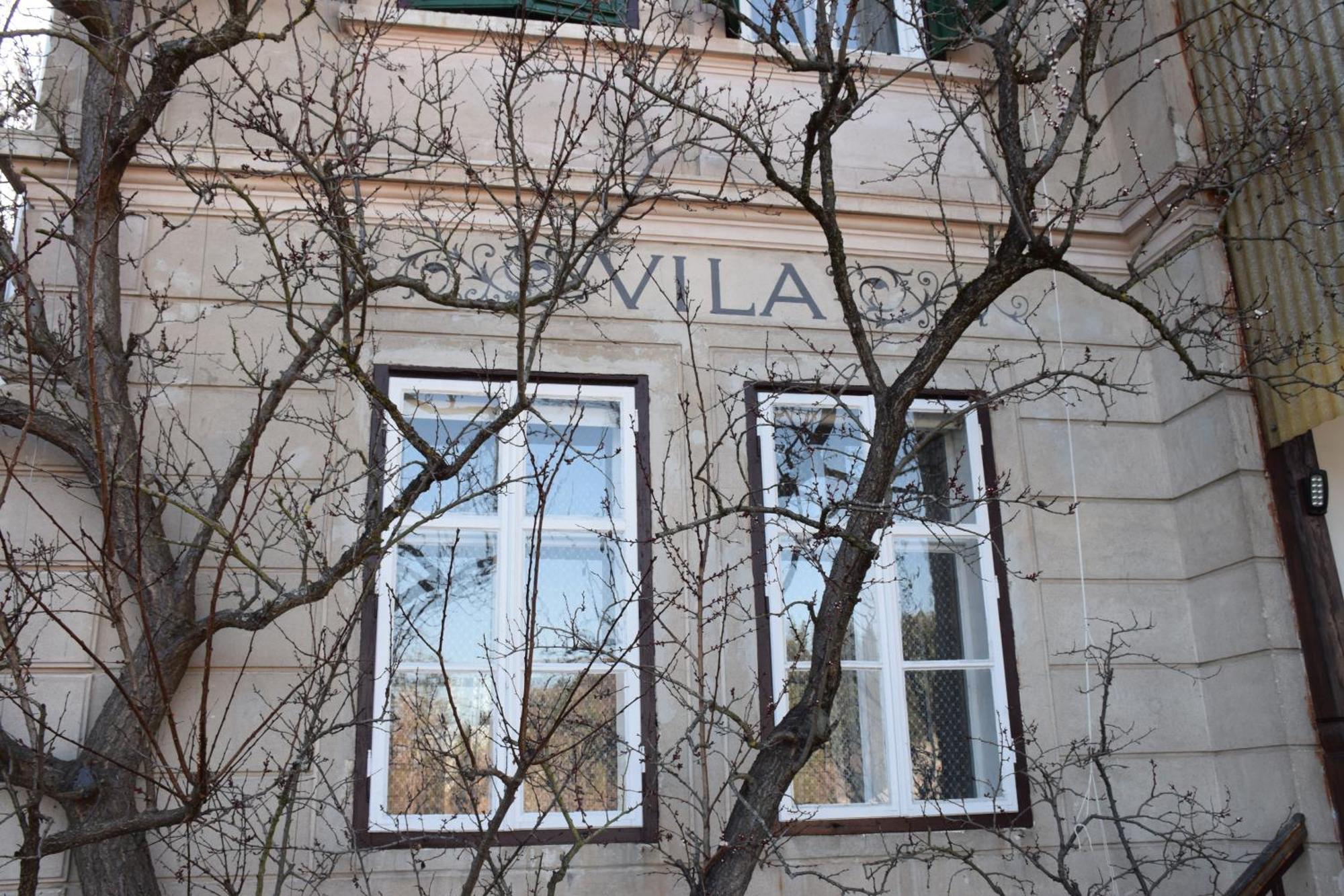 Vila Cerne Bled Eksteriør bilde